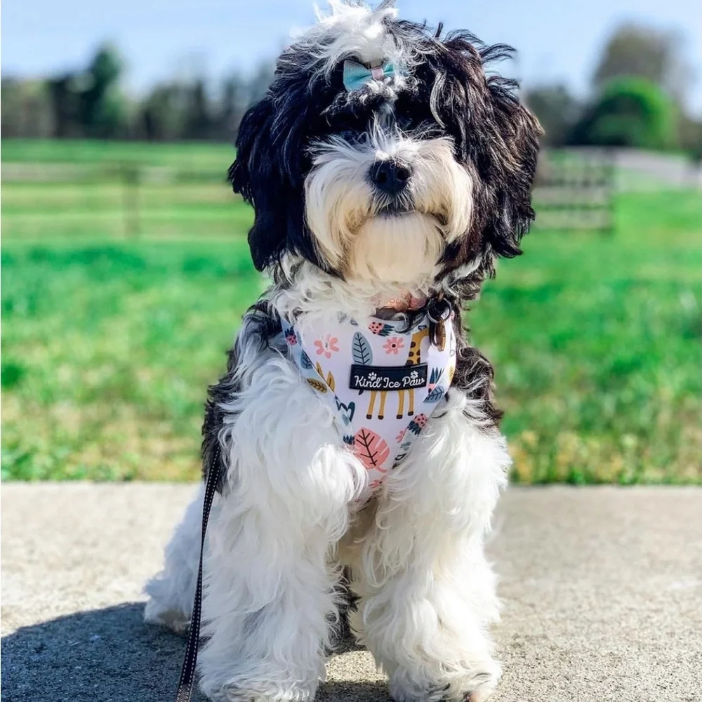Brand New - Jungle Safari Pup Dog Harness - Picture 7 of 10